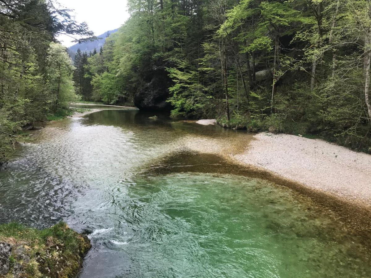 Weichselboden, Alte Schuleアパートメント エクステリア 写真
